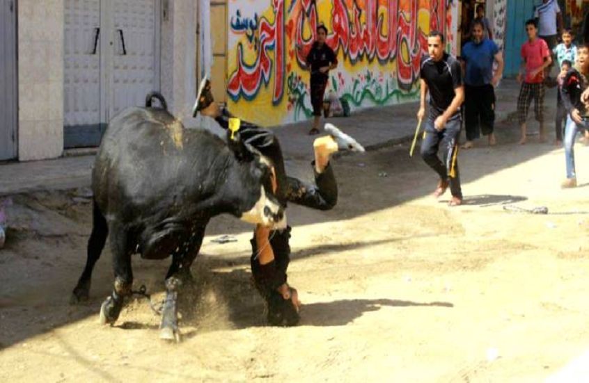 دونالد ترامب إيلون ماسك مخدرات