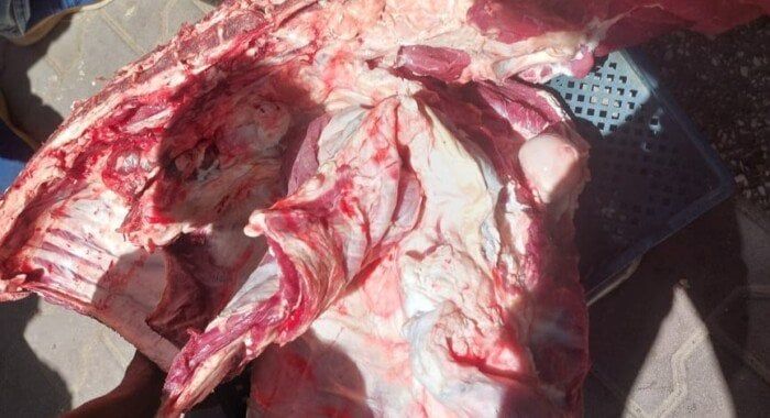 ضبط لحوم مذبوحة خارج المجازر وتحرير 317 محضرًا تموينيًا بأسيوط
