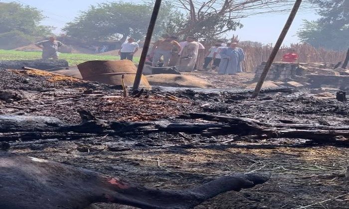 نفوق 25 رأس ماشية في حريق 5 حظائر بالمنوفية