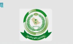 ضبط مخالف لنظام أمن الحدود بحوزته 47 كجم من القات في عسير