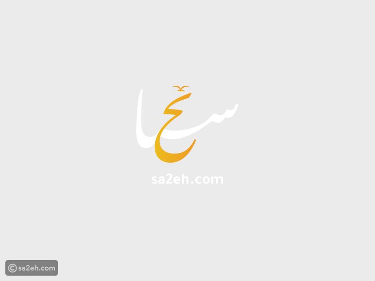 من أين جاءت أكلة الفلافل الشهيرة؟