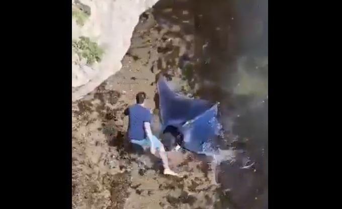 هل شاهدت سمكة الشيطان النادرة من قبل؟.. فيديو قد يبهرك