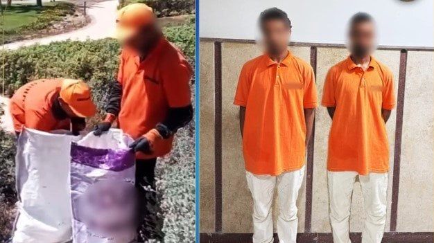 كشف ملابسات قيام شخصين بوضع كلاب داخل أجولة في مطروح «فيديو»