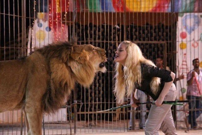 تأجيل محاكمة مدربة الأسود أنوسه كوتة في واقعة النمر بطنطا إلى 21 يونيو