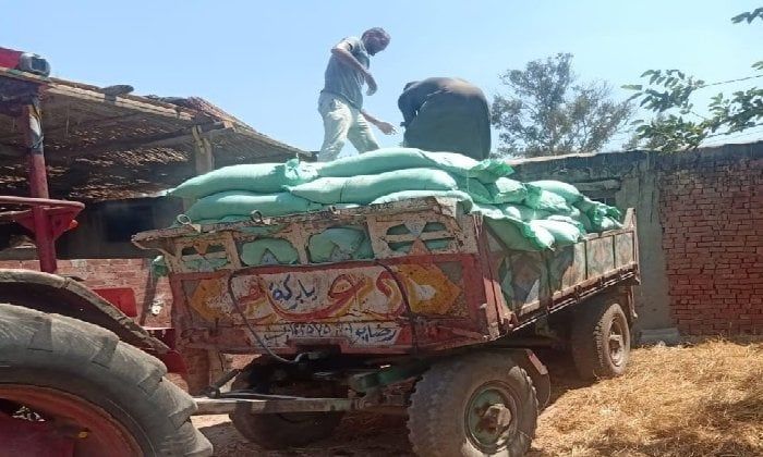 في حملات تموينية.. الداخلية تضبط 5 أطنان دقيق مدعم