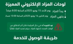 مزاد اللوحات المميزة من أبشر