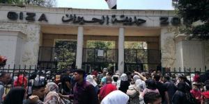 تحديد موعد الافتتاح الرسمي لحديقة الحيوان بالجيزة بعد فترة إغلاق دامت 18 شهرًا - تواصل نيوز