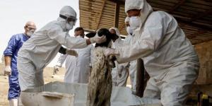 العراق يسجل 107 حالات إصابة بالحمى النزفية بينها 16 وفاة - تواصل نيوز