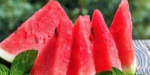 علامات تدل على فساد البطيخ - تواصل نيوز
