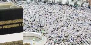 السياحة والآثار: نتابع عمليات تفويج الحجاج.. وعودة 2200 حاج حتى الآن - تواصل نيوز