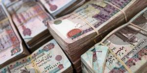 بهذا الموعد.. الحكومة تقرر صرف مرتبات شهر يونيو 2025 - تواصل نيوز