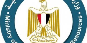 الجريدة الرسمية تنشر قانون تحويل هيئة الثروة المعدنية لهيئة اقتصادية - تواصل نيوز