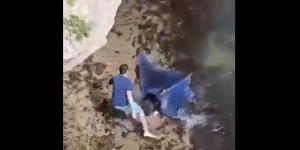 هل شاهدت سمكة الشيطان النادرة من قبل؟.. فيديو قد يبهرك - تواصل نيوز