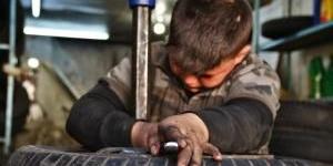 العمل: حريصون على الحد من عمل الأطفال - تواصل نيوز