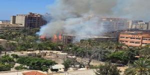 شاهد الان - حريق هائل يلتهم أشجارًا بشارع بيانكي غرب الإسكندرية دون إصابات - تواصل نيوز