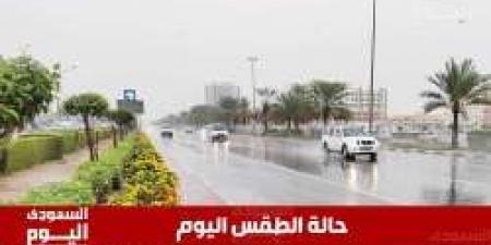 ارتفاع درجات الحرارة في السعودية اليوم الأربعاء وسط أجواء مستقرة - تواصل نيوز