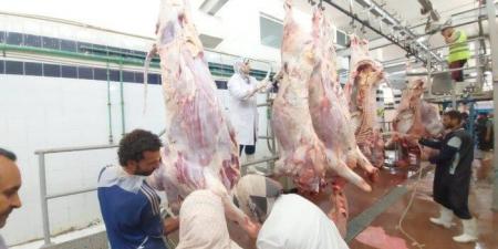 انتظام العمل بمجازر البحر الأحمر فى ثانى أيام عيد الأضحى المبارك - تواصل نيوز
