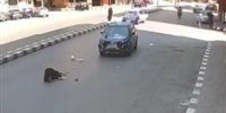 مصرع سيدة صطدمتها سيارة يقودها طالب بالغربية - تواصل نيوز