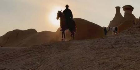 بدقن كثيفة.. محمد رمضان من كواليس تصوير فيلم أسد استعدادا لطرحه قريبا - تواصل نيوز