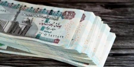 مرتبات شهر يونيو 2025.. موعد الصرف وقيمة الرواتب - تواصل نيوز