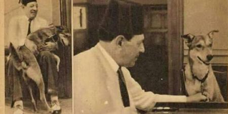 نجيب الريحانى أغلق المسرح 3 أيام ورفض التمثيل بسبب وفاة كلبته - تواصل نيوز