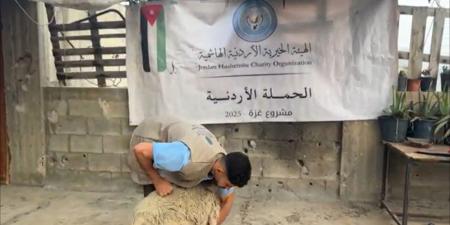 الحملة الأردنية والهيئة الخيرية الهاشمية توزعان لحوم أضاح على فلسطينيين في غزة - تواصل نيوز
