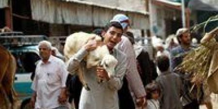 مجزرة عيد الأضحى في اليمن.. مضطرب نفسيًا يفتح النار داخل مسجد ويقتل 12 مصليًا - تواصل نيوز