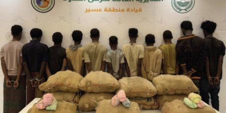 ضبط (11) شخصا لمحاولتهم تهريب كمية من نبات القات المخدر بمنطقة عسير - تواصل نيوز
