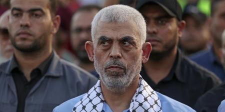 رسميًا .. إسرائيل تعلن انتشال جثمان محمد السنوار في غزة - تواصل نيوز