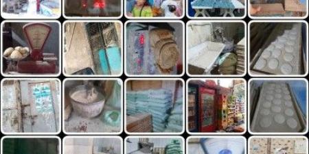 تموين القليوبية تحرر 396 محضرا ومخالفة خلال حملات على الاسواق - تواصل نيوز