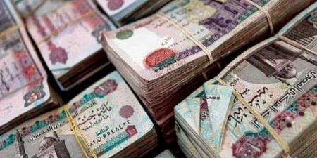 موعد صرف مرتبات شهر يونيو 2025 للقطاع العام والخاص - تواصل نيوز