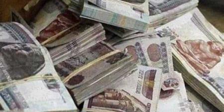 ضربة لـ تجار الأخضر في عيد الأضحى.. الداخلية تضبط 4 ملايين جنيه - تواصل نيوز
