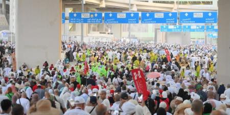 التضامن عودة أولي رحلات حج الجمعيات الأهلية من جدة 10 يونيو.. ومن المدينة المنورة 14 يونيو - تواصل نيوز