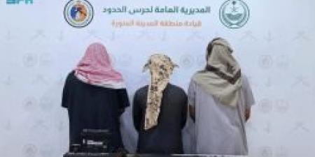 حرس الحدود يضبط 3 مخالفين لنظام البيئة لارتكابهم للصيد دون ترخيص بالمدينة المنورة - تواصل نيوز