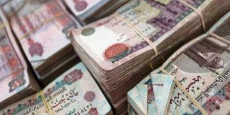 جدول المرتبات بعد الزيادة الجديدة في يوليو 2025.. اعرف هتقبض كام الشهر القادم - تواصل نيوز