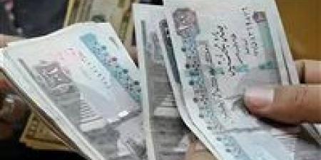 مع تطبيق الزيادة الجديدة.. خطوات الاستعلام عن معاش شهر يوليو - تواصل نيوز