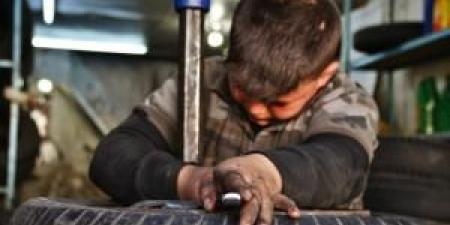 العمل: حريصون على الحد من عمل الأطفال - تواصل نيوز