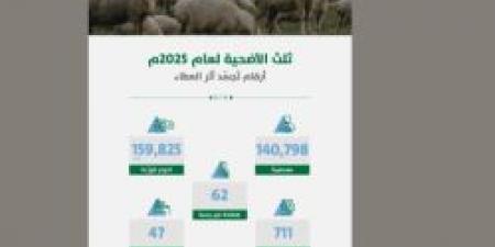 مبادرة "ثلث الأضحية" بالرياض تسجل نموًا بنسبة 33% في عدد المستفيدين لعام 1446هـ - تواصل نيوز
