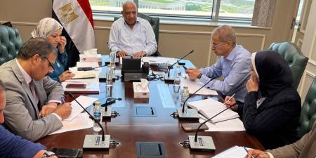 عصمت لرؤساء شركات الكهرباء:رفع الاستعداد لتأمين الشبكة الموحدة - تواصل نيوز