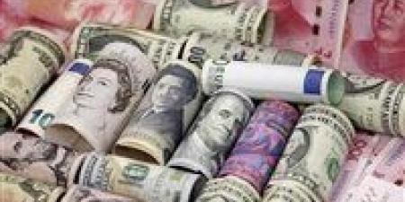 شاهد الان - ضبط قضايا اتجار بالعملات الأجنبية بقيمة 15 مليون جنيه - تواصل نيوز