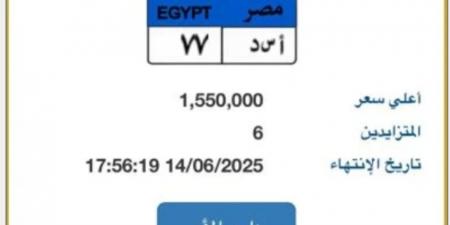 حصريا - "أسد - 77".. أحدث لوحة سيارة مميزة مطروحة بالمزاد قيمتها تتخطى 1.5 مليون جنيه - تواصل نيوز