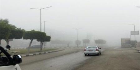 شاهد الان - أجواء شديدة الحرارة ورطوبة مرتفعة.. «الأرصاد» تحذر من طقس اليوم السبت 14-6-2025 - تواصل نيوز