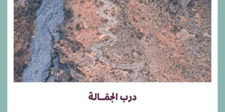 شاهد .. متعرج بهندسة بين الطائف والعاصمة المقدسة .. تفاصيل درب الجمالة - تواصل نيوز