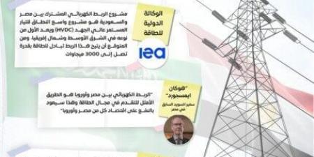 شاهد الان - مجلس الوزراء: الربط الكهربائي مع السعودية نقطة انطلاق مصر كمحور إقليمي للطاقة - تواصل نيوز