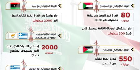 شاهد الان - المركز الإعلامي لمجلس الوزراء: الربط الكهربائي مع السعودية نقطة انطلاق مصر كمحور إقليمي للطاقة - تواصل نيوز