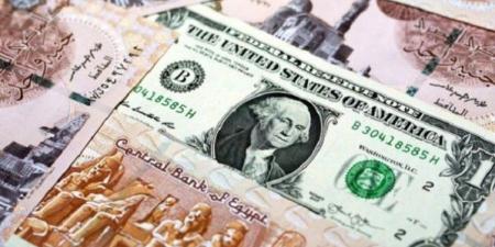 اخبار اليوم - تعرف على سعر الدولار في مصر اليوم الأحد 15 يونيو 2025 - تواصل نيوز