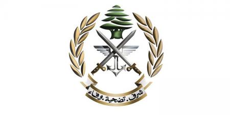 حصري فقط على تواصل نيوز - الجيش: مسيّرة تابعة للعدو الإسرائيلي سقطت في خراج ميس الجبل وعملنا على نقلها وإجراء اللازم - تواصل نيوز