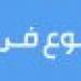 الصومال تعلن مقتل 40 إرهابيا في عملية عسكرية وسط البلاد - تواصل نيوز