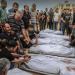 4 شهداء فلسطينيين في قصف إسرائيلي شرق خان يونس - تواصل نيوز