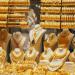 بعد ارتفاع عيار 21.. ما هو آخر تحديث لـ سعر الذهب في مصر اليوم؟ - تواصل نيوز
